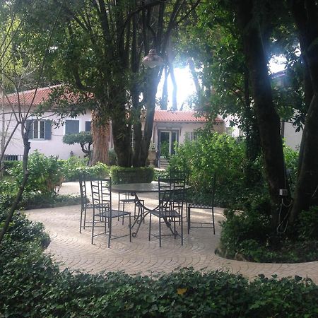 Villa Abbamer Grottaferrata Exterior photo