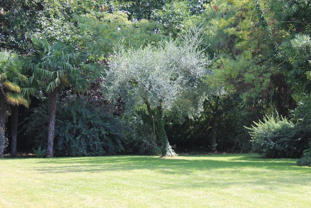 Villa Abbamer Grottaferrata Exterior photo