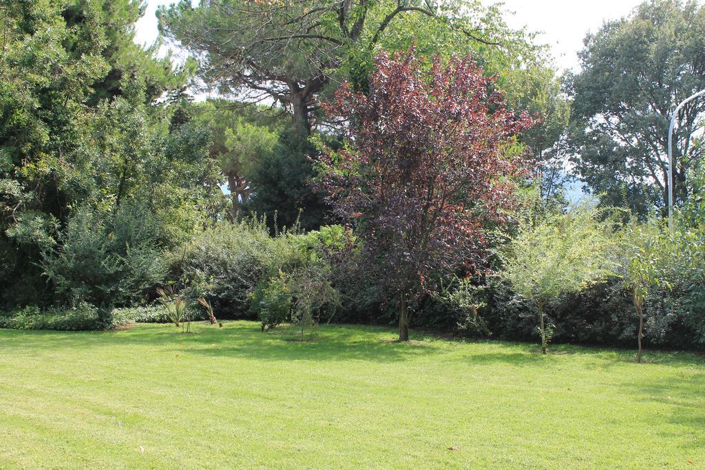 Villa Abbamer Grottaferrata Exterior photo